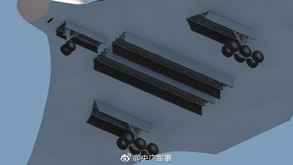 人体美鲍