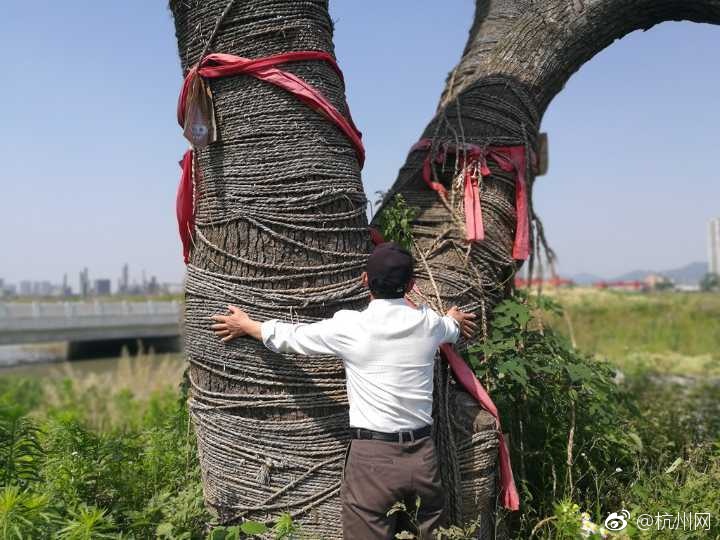 白虎嫩逼