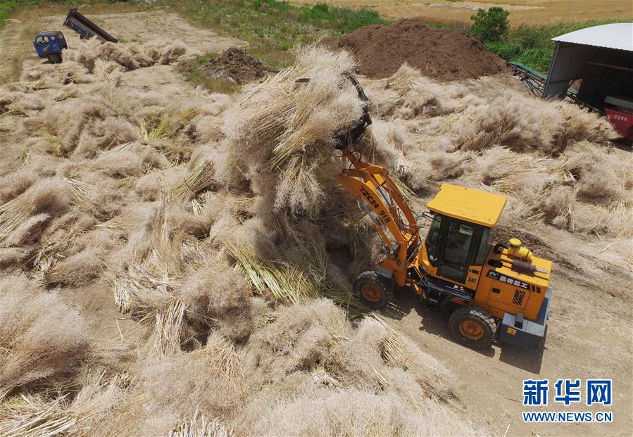 国产黃色A片三区三区三小说