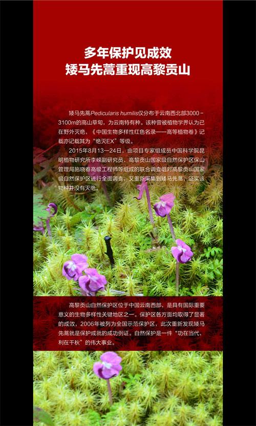 免费黄高清无码