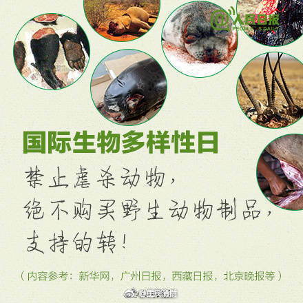 岳拇三浦恵理子肉欲交换