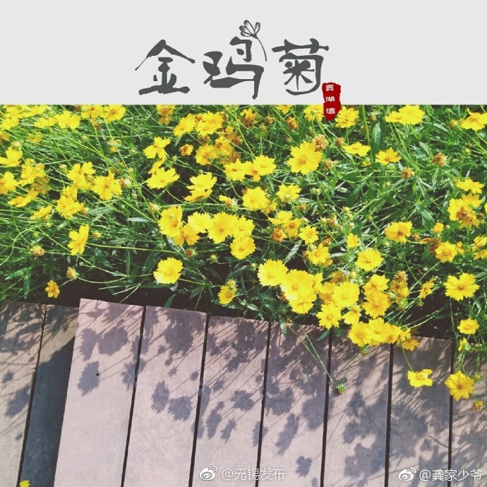 欧洲熟女乱伦