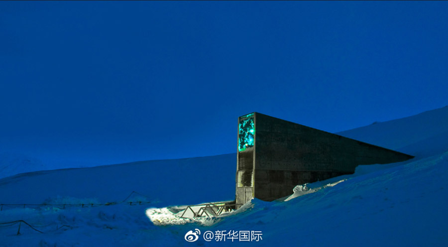 在线 成人 短 片