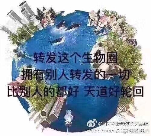中国X站