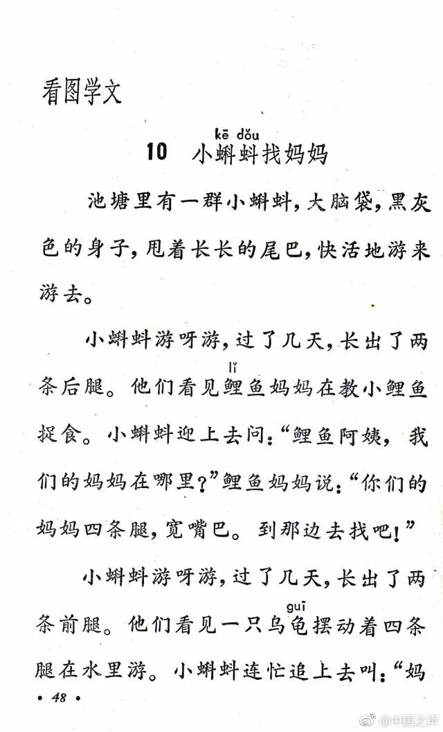 自慰磨擦大荫蒂毛茸茸