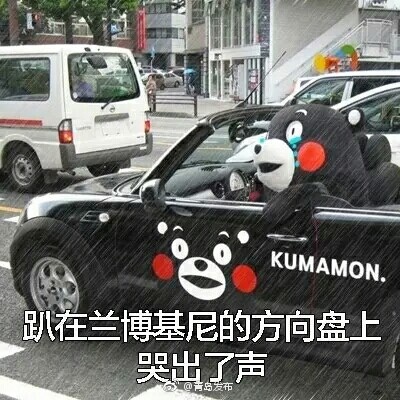 浪小辉ChineseGayXX