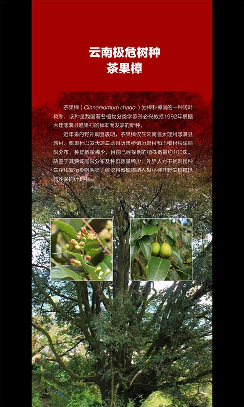体内 精69XXXXXx喷潮网
