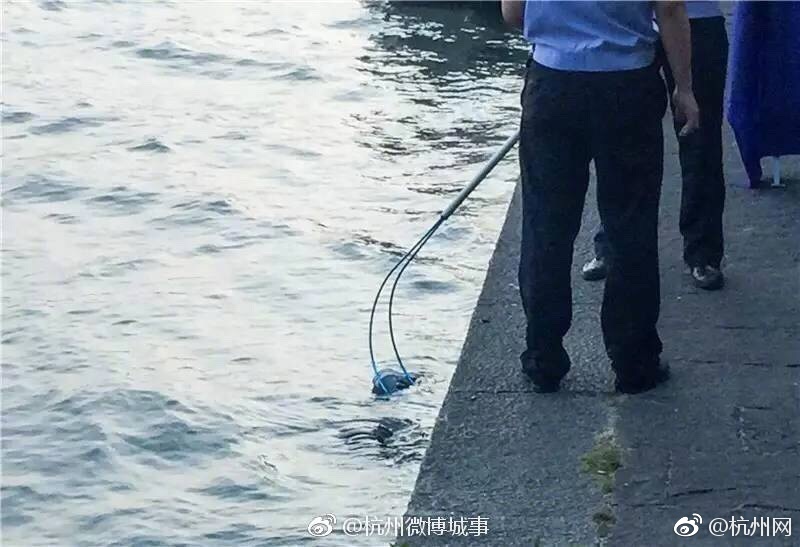草莓视频成人app 免费魅影