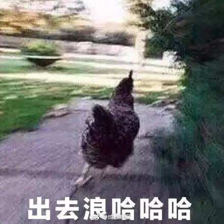 熟妇Freehd