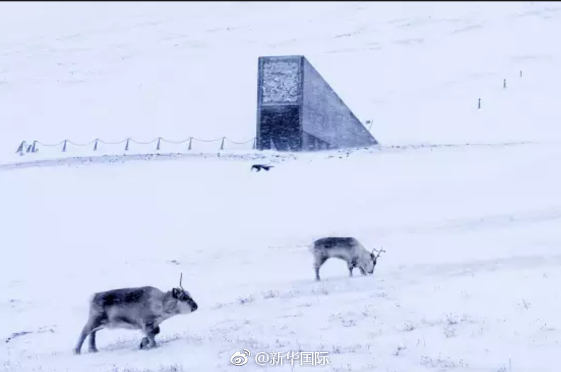 欧美熟女三级片