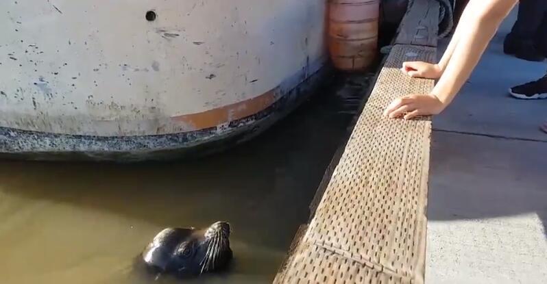 办公室扒开奶罩揉吮奶头A片图片