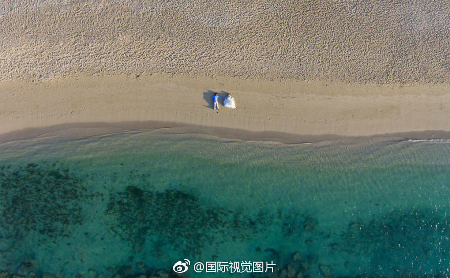 小母狗