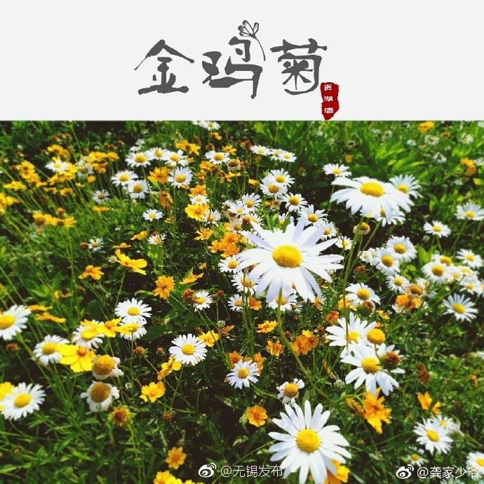 色情 线 上 直播