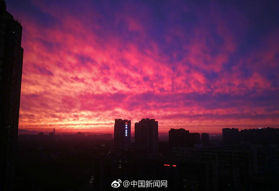 给我放一个免费的操逼片