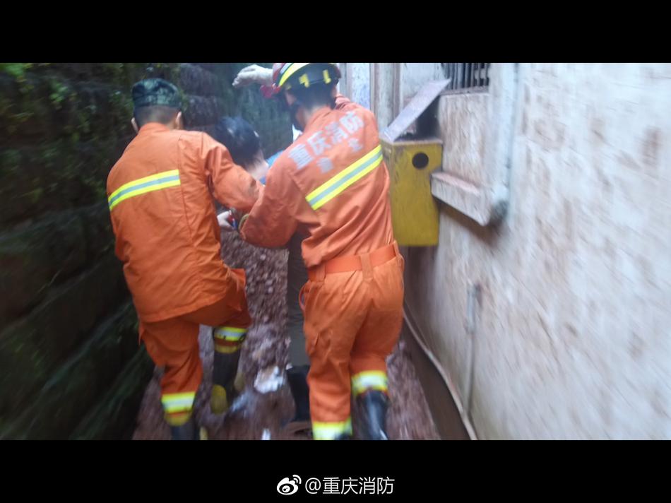 张柏芝门户大开照