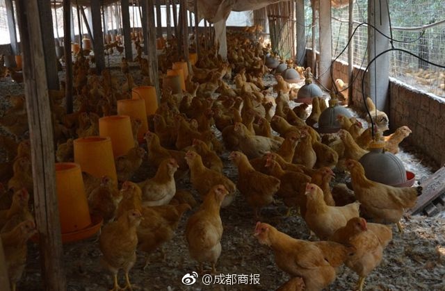 刺激前列腺