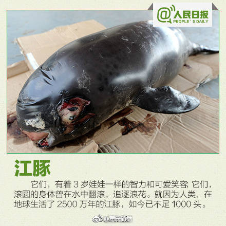 王雨纯牺牲最大的一场戏