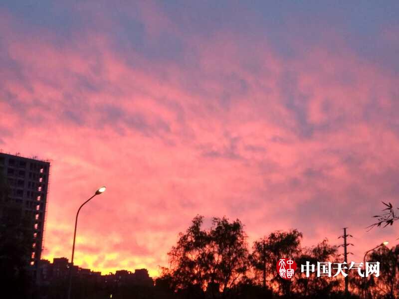 女仆扒开秘 让男人桶爽