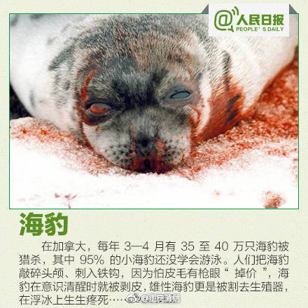 灌醉老师破了老师的处