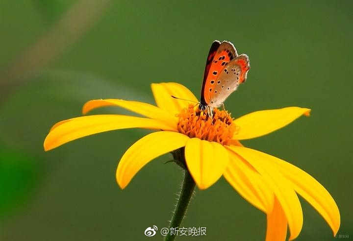 91人妻无码一区二区三区