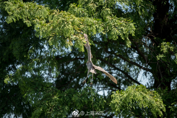 四川妹子日逼