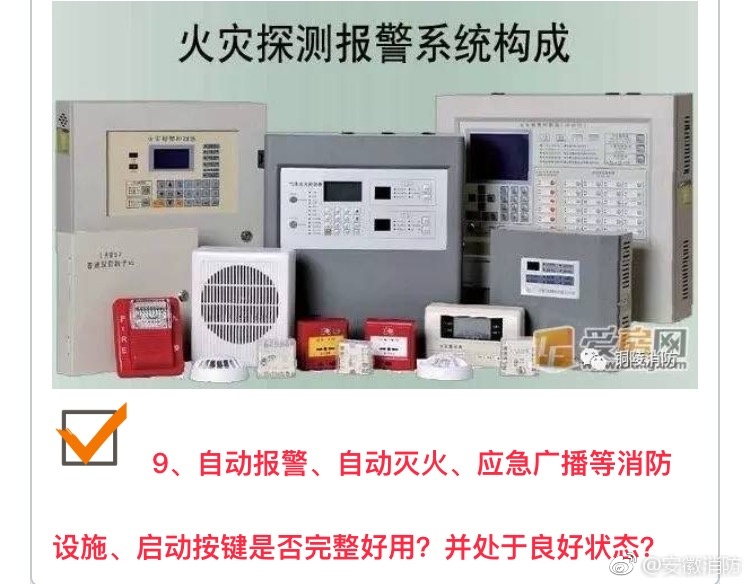 性爱特级无码视频
