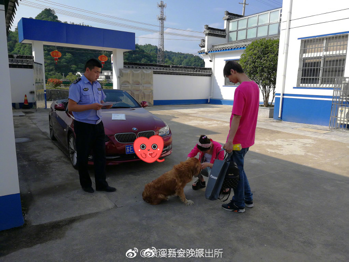 韩美伦理电影网站