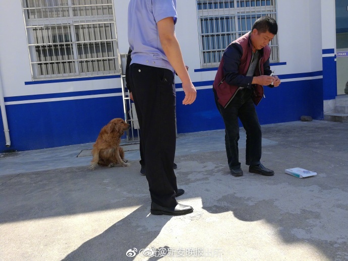欧美一级片喷水