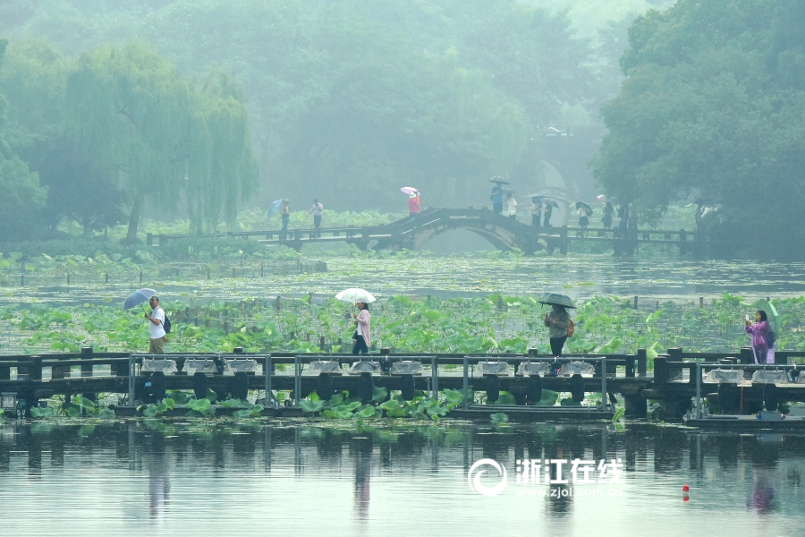 张筱雨《魅惑》40张