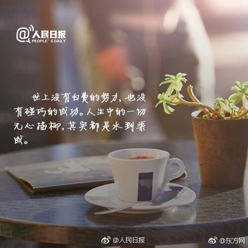 欧美综合性爱黄片