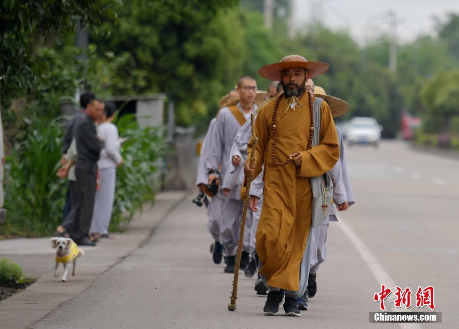 黄色p直播间