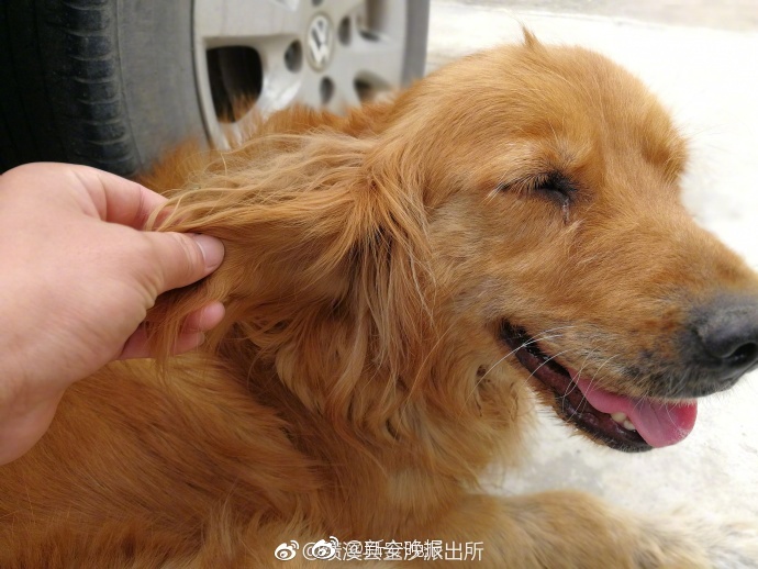 我与乡下诱奷小Y头