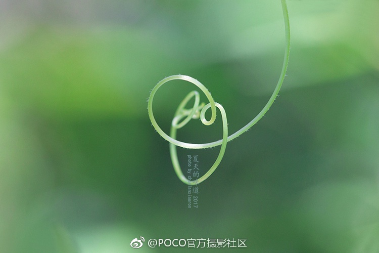 下载黄色网站全免费
