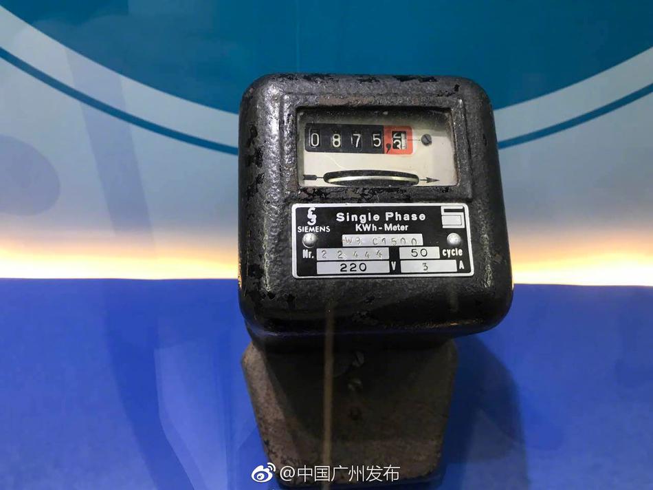 香港黄业Bb毛都图片