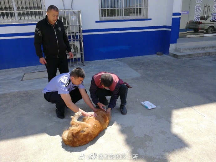 男生被脱精光玩J