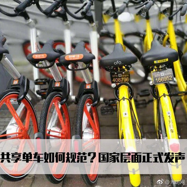 黄黄的网站