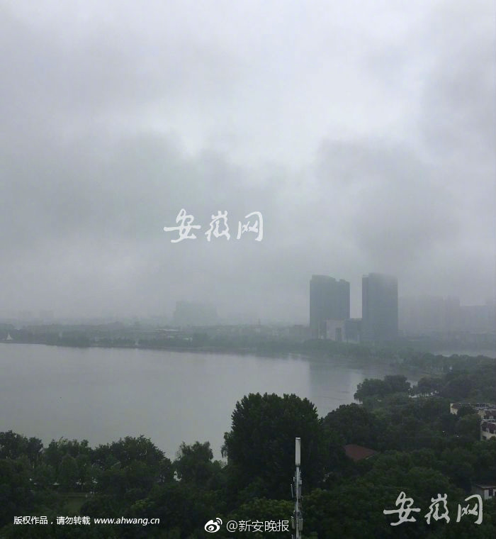 天天看天天爽