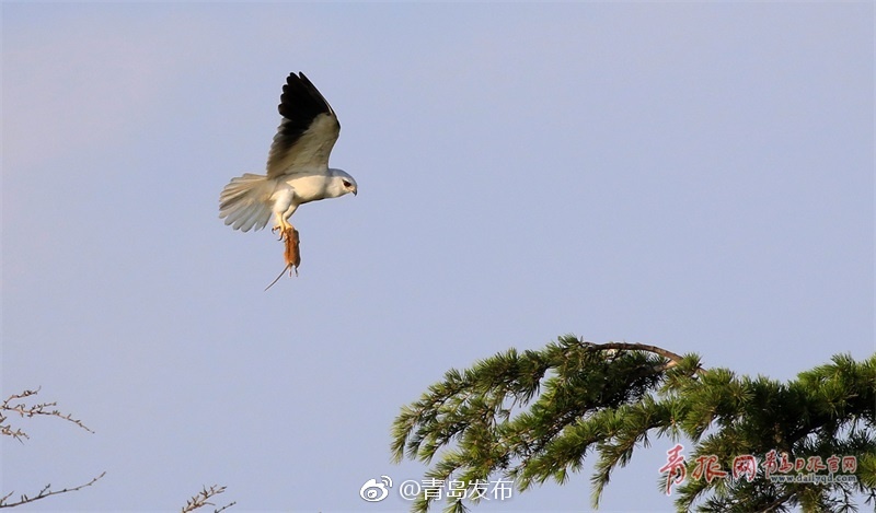 91  丨PORNY丨白浆