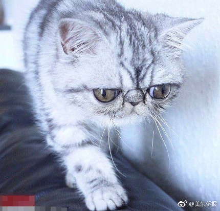 被强行糟蹋的女人A片一区二区