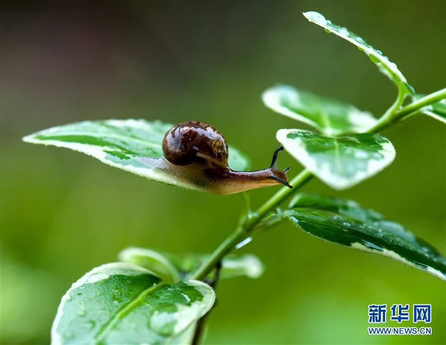 黄色小说视频