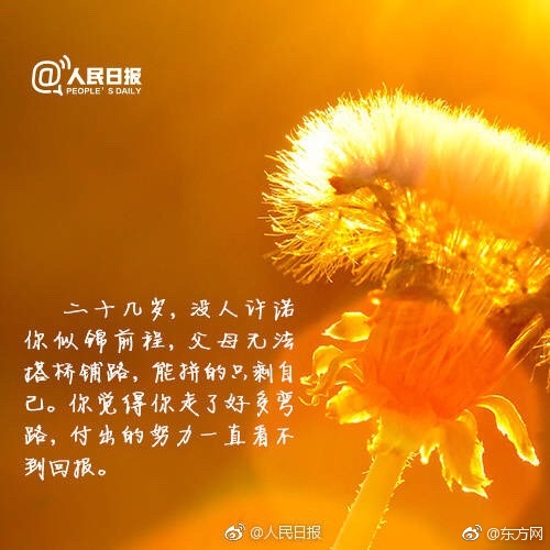 欧美多阴毛女性视频一区二区
