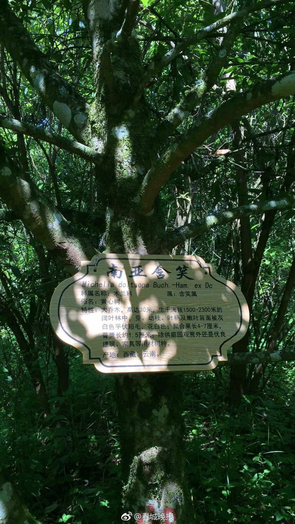 德国熟妇Freet
