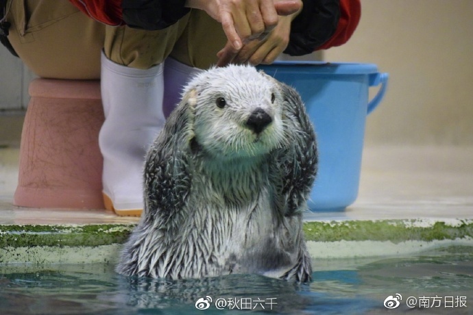 台湾在线三级片