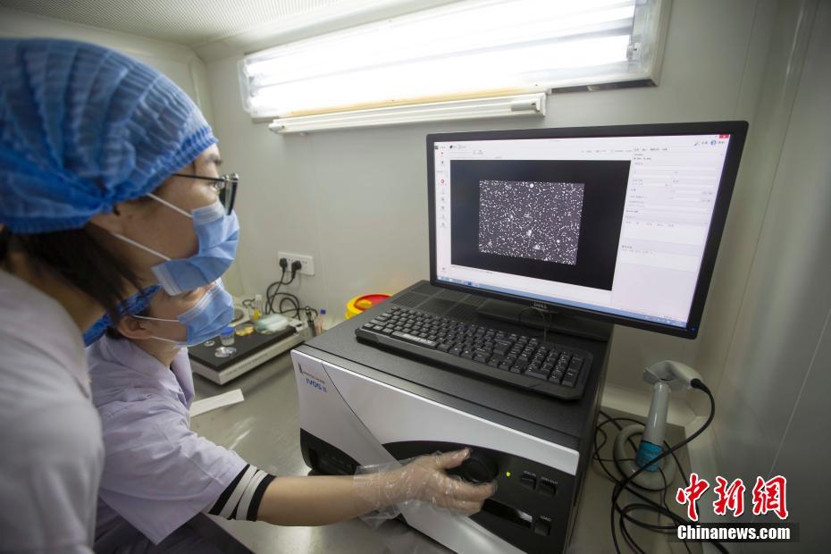 寡妇高潮一级毛片免费看