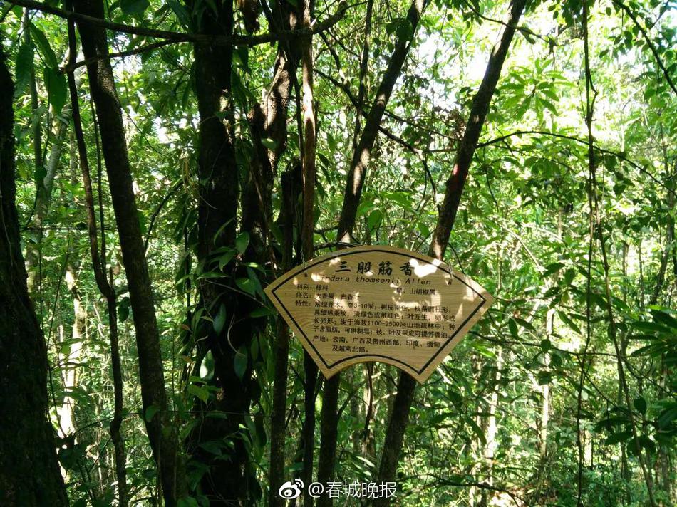 稚嫩10小男生互摸互吃