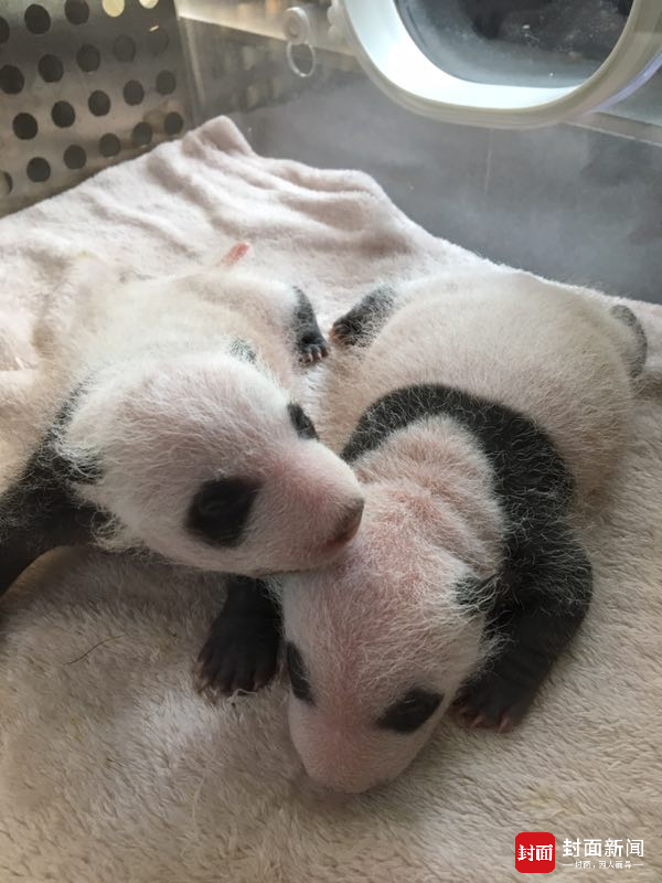 色情 片 在线 观看