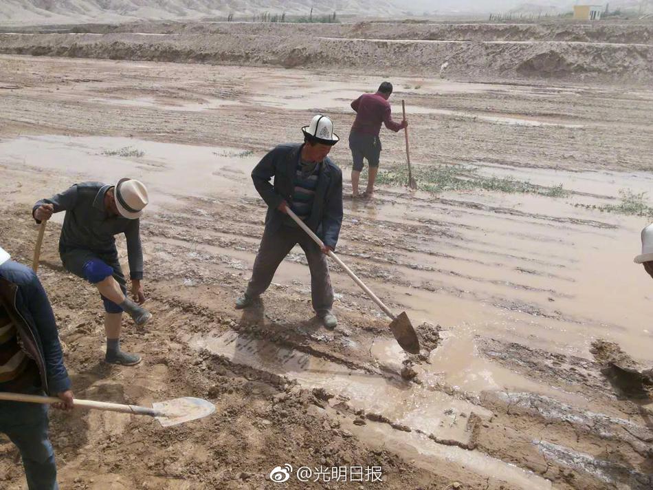 发个免弗的黄片看看