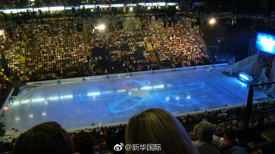 国产精品a v久久久久久无