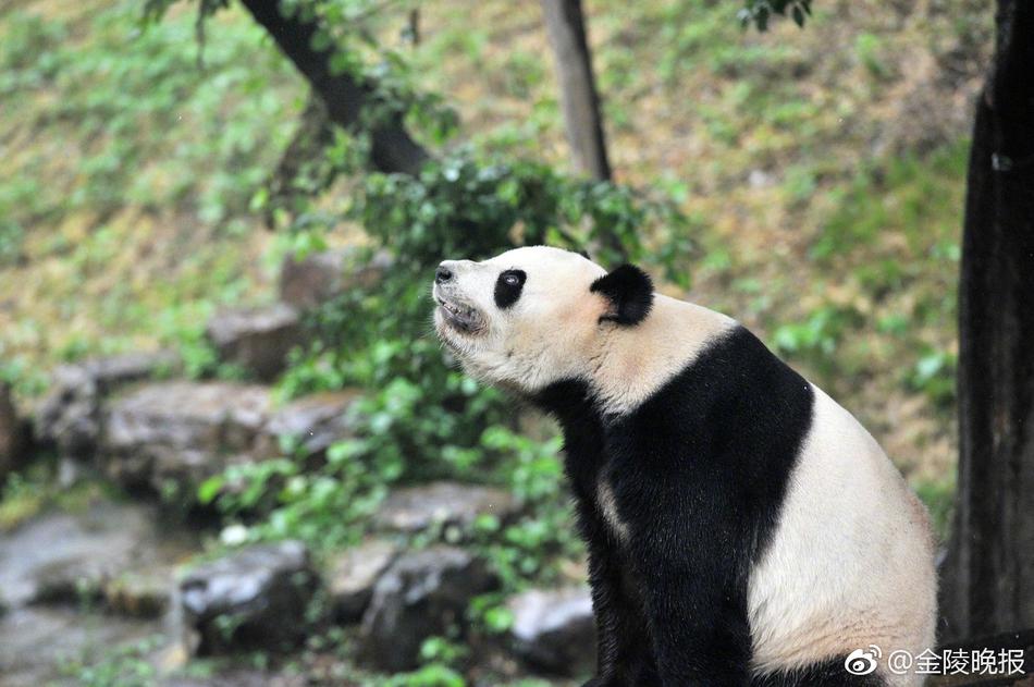 操逼逼软件
