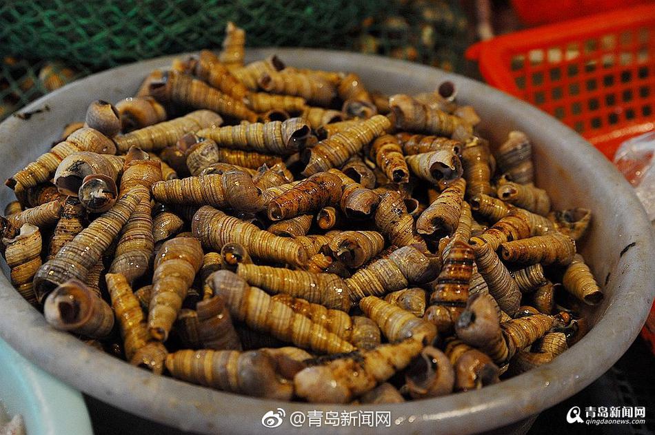 天天爱天天操